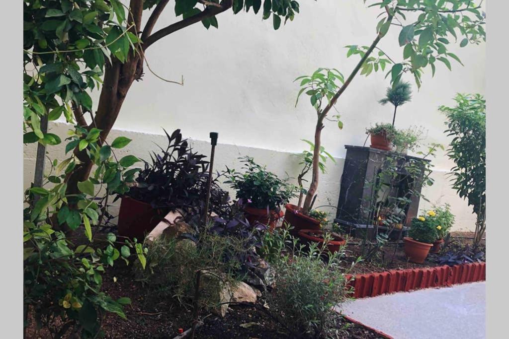 Modern Hospitality, With Private Garden, Athens Apartment Екстериор снимка